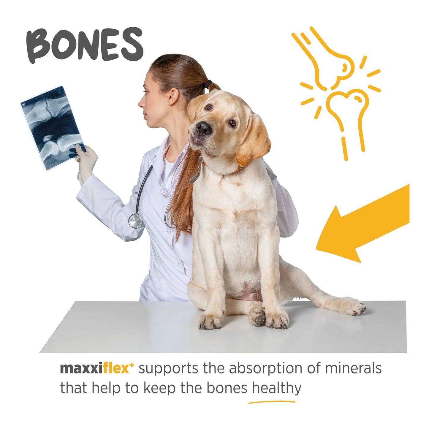 Suplemento Articular Para Perros Maxxiflex+ 120 Tabletas Sabor Hígado Alivia Dolor Cadera