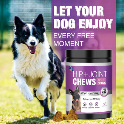 Glucosamina Para Perros 200 Unidades Suplemento Articular Con Condroitina Y MSM