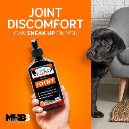 Cuidado Líquido Natural Para Caderas Y Articulaciones De Perros Mejora Movilidad Y Alivia Dolor