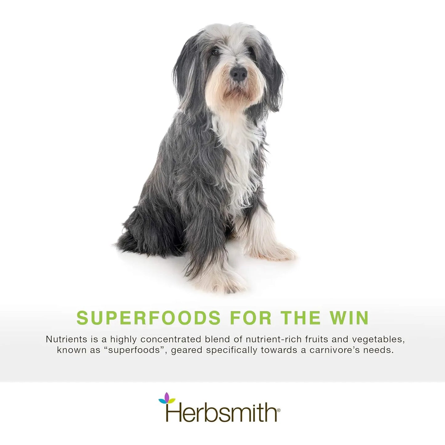 Multivitamínico Natural Para Perros Con Antioxidantes Herbsmith Superfood 6.5 Onzas