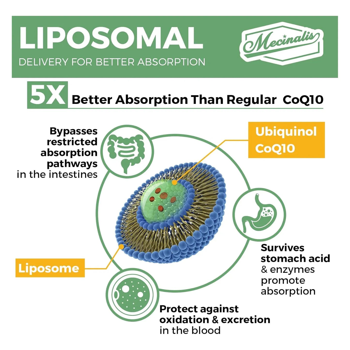 Capsulas Blandas Liposomales Coq10 1000 Mg Alta Absorcion Ubiquinol Vegano