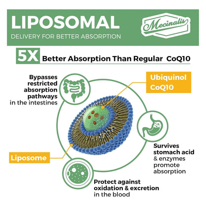 Capsulas Blandas Liposomales Coq10 1000 Mg Alta Absorcion Ubiquinol Vegano