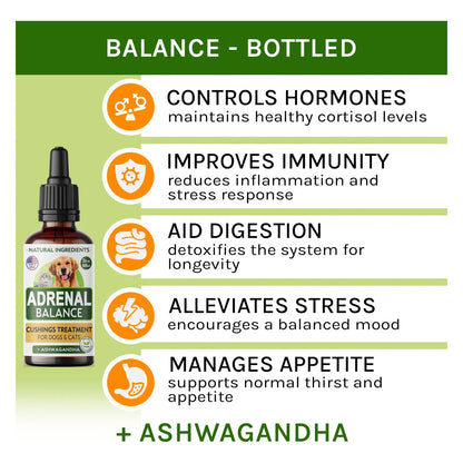 Tratamiento Natural Para Mascotas Equilibrio De Ashwagandha Soporte Cushing Perros Gatos