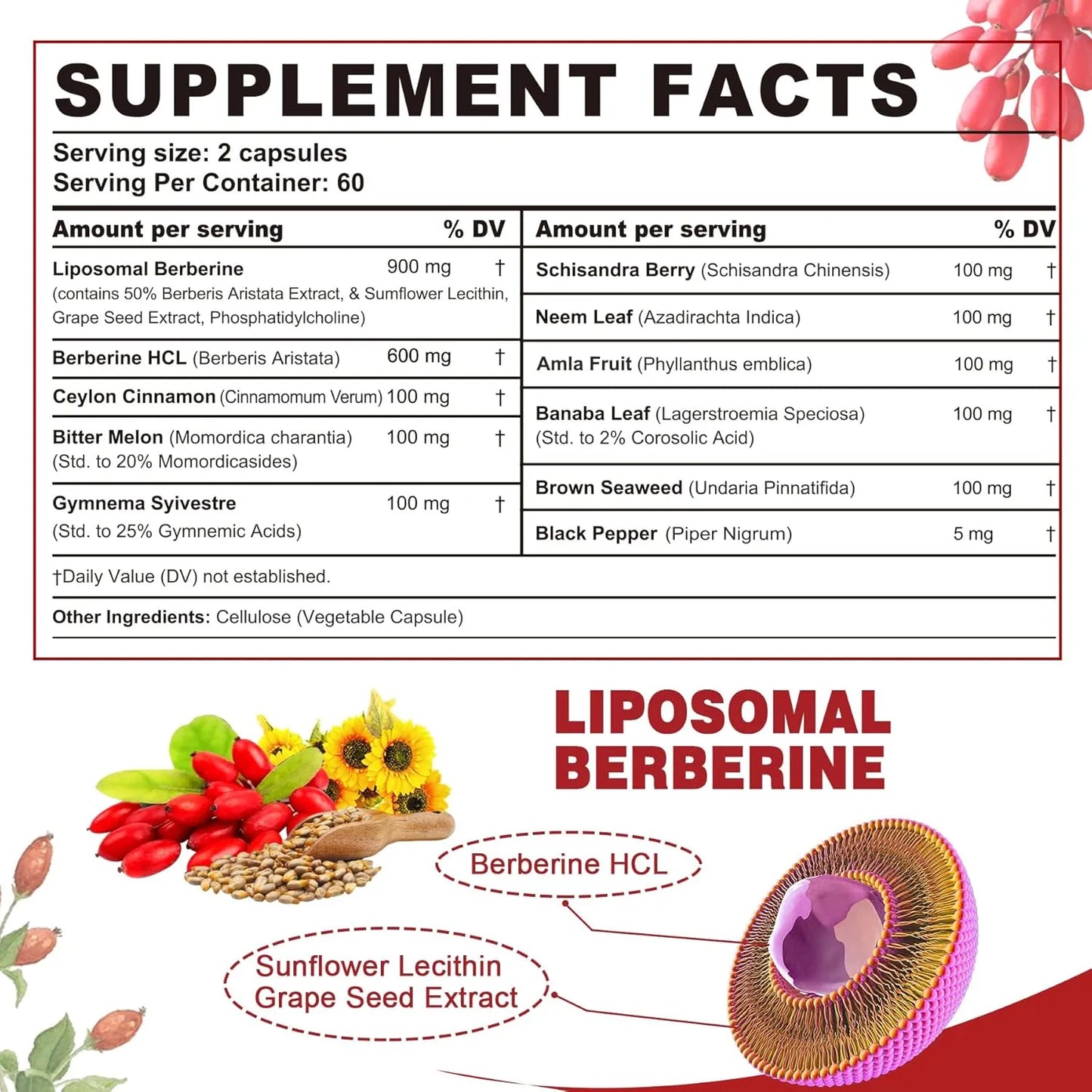 Berberina Orgánica 1500 Mg Con Melón Amargo Y Canela De Ceilán Suplemento Digestivo Y Metabólico