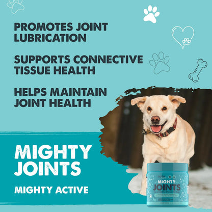 Suplemento Articular Para Perros Con Glucosamina Sabor Tocino Mejora Movilidad