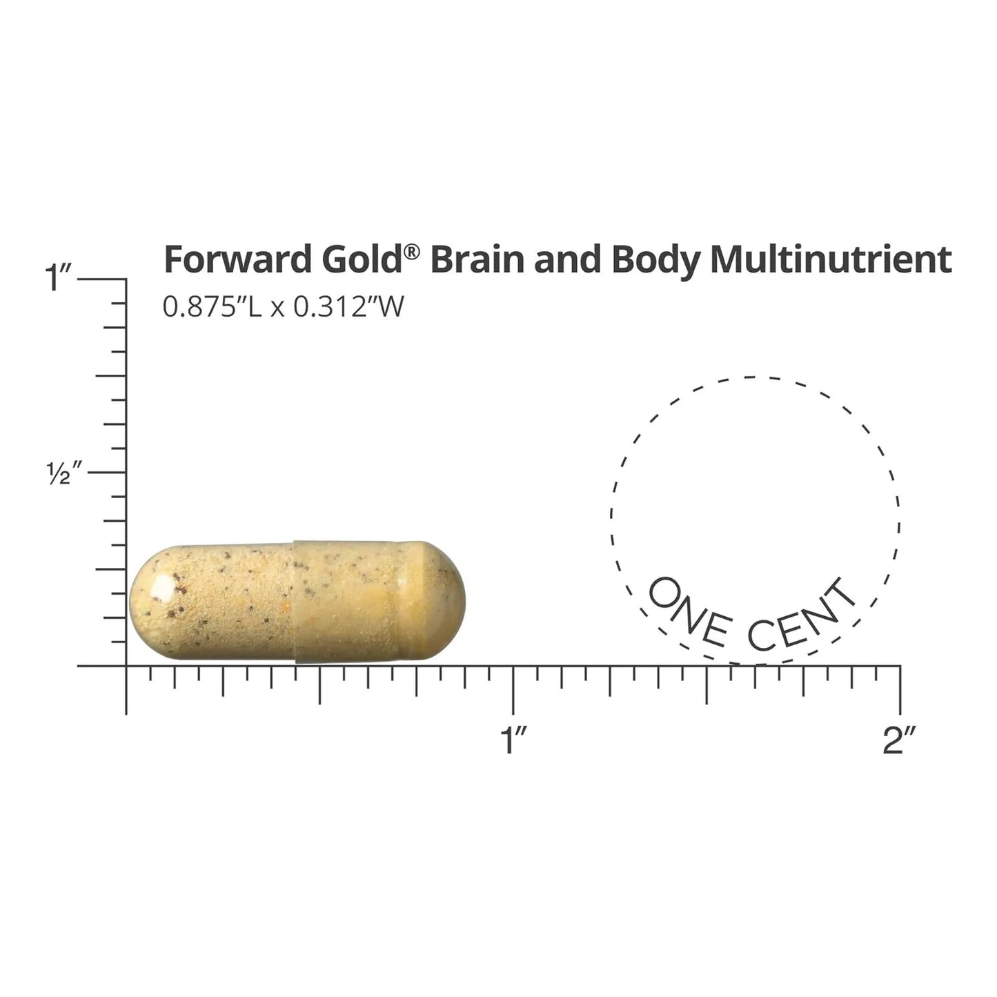 Multivitamínico Diario Dr Whitaker Forward Gold Para Adultos Mayores 65 Años 60 Paquetes