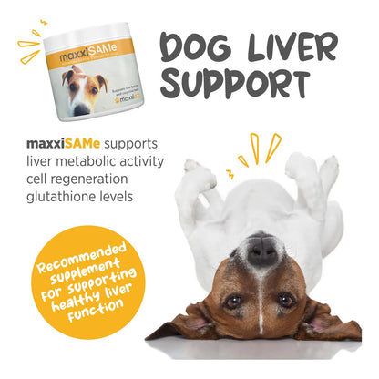 Suplemento Hepatico Y Cognitivo Para Perros MaxxiSAMe 5.3 Onzas