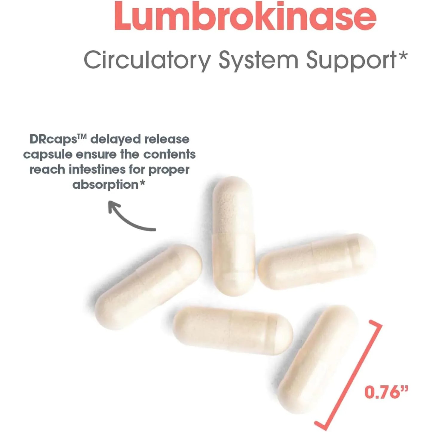 Lumbroquinasa 60 Caps Soporte Circulatorio Allergy Research Group Envio Gratis