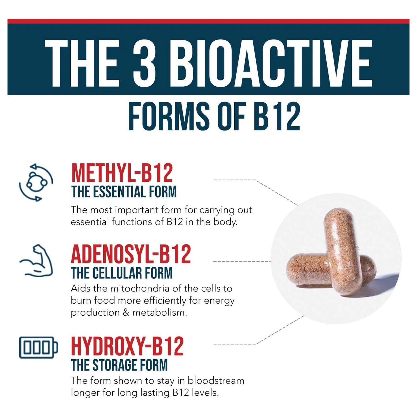 Vitamina B12 1000 Mcg Trifasica Con Metilfolato Energia Y Metabolismo