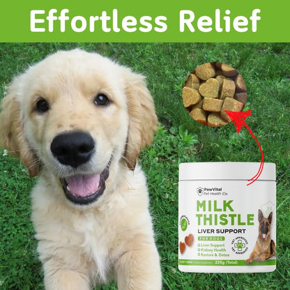 Masticables Naturales De Cardo Mariano Para Perros Con Aceite De Salmon Y Curcumina Soporte Hepatico Y Renal