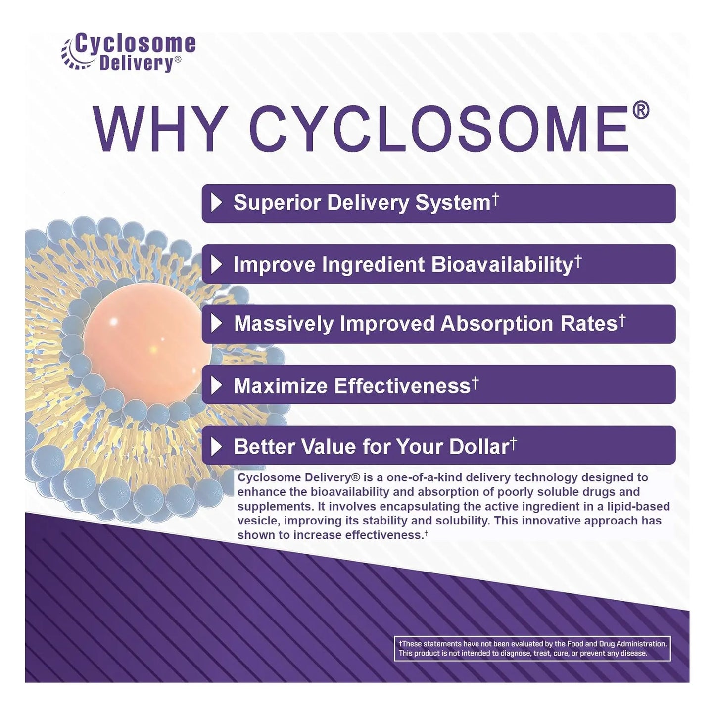 Quercetina 250mg Salud Cardíaca Y Respiratoria Con Tecnología Cyclosome 120 Tabletas