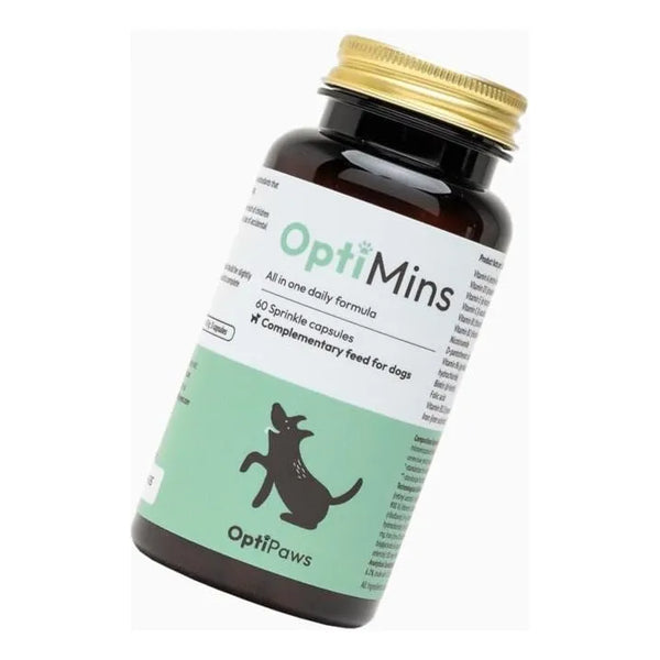 Capsulas De Vitaminas Y Minerales Para Perros Apoyo Inmunologico Salud Y Energia