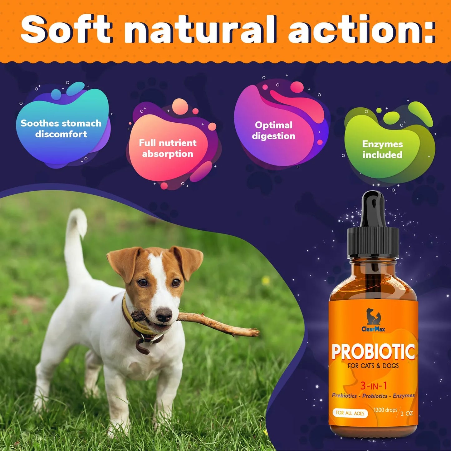 Probióticos Y Enzimas Digestivas Para Perros Y Gatos Mejora La Digestión Y Salud Intestinal
