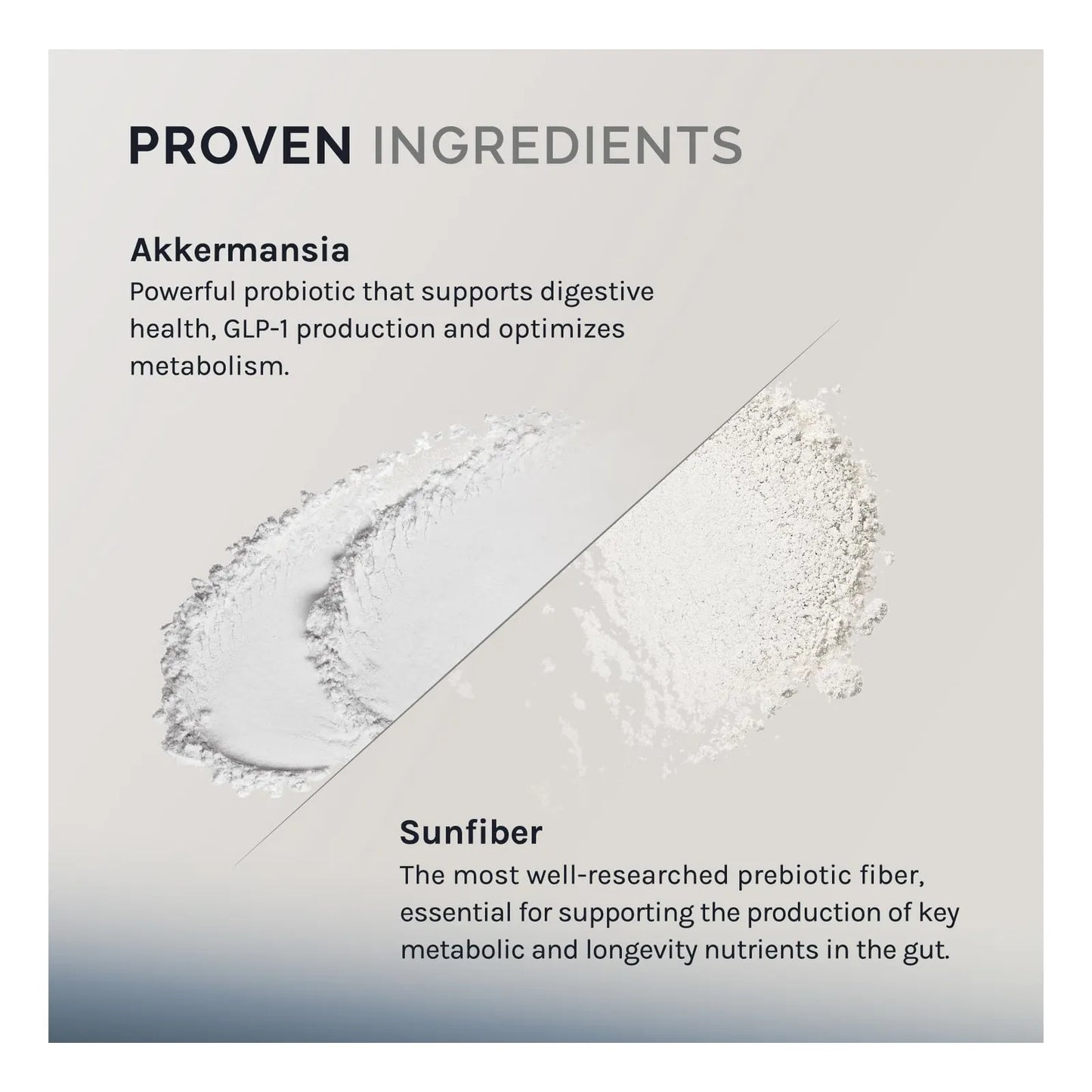 Akkermansia Muciniphila 60 Capsulas Probiótico Con Fibra Prebiótica Salud Intestinal