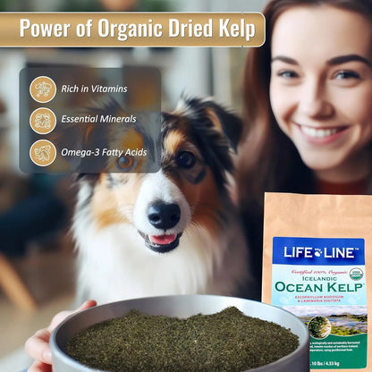 Alga Kelp Organica 4.5 Kg Para Mascotas Dientes Sanos Y Pelaje Brillante