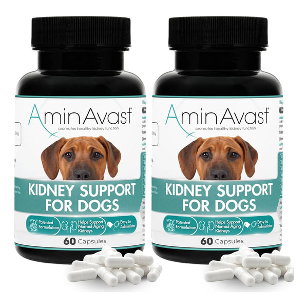 AminAvast Suplemento Renal Para Perros 1000 Mg Paquete 2 Unidades Apoya Funcion Renal Natural