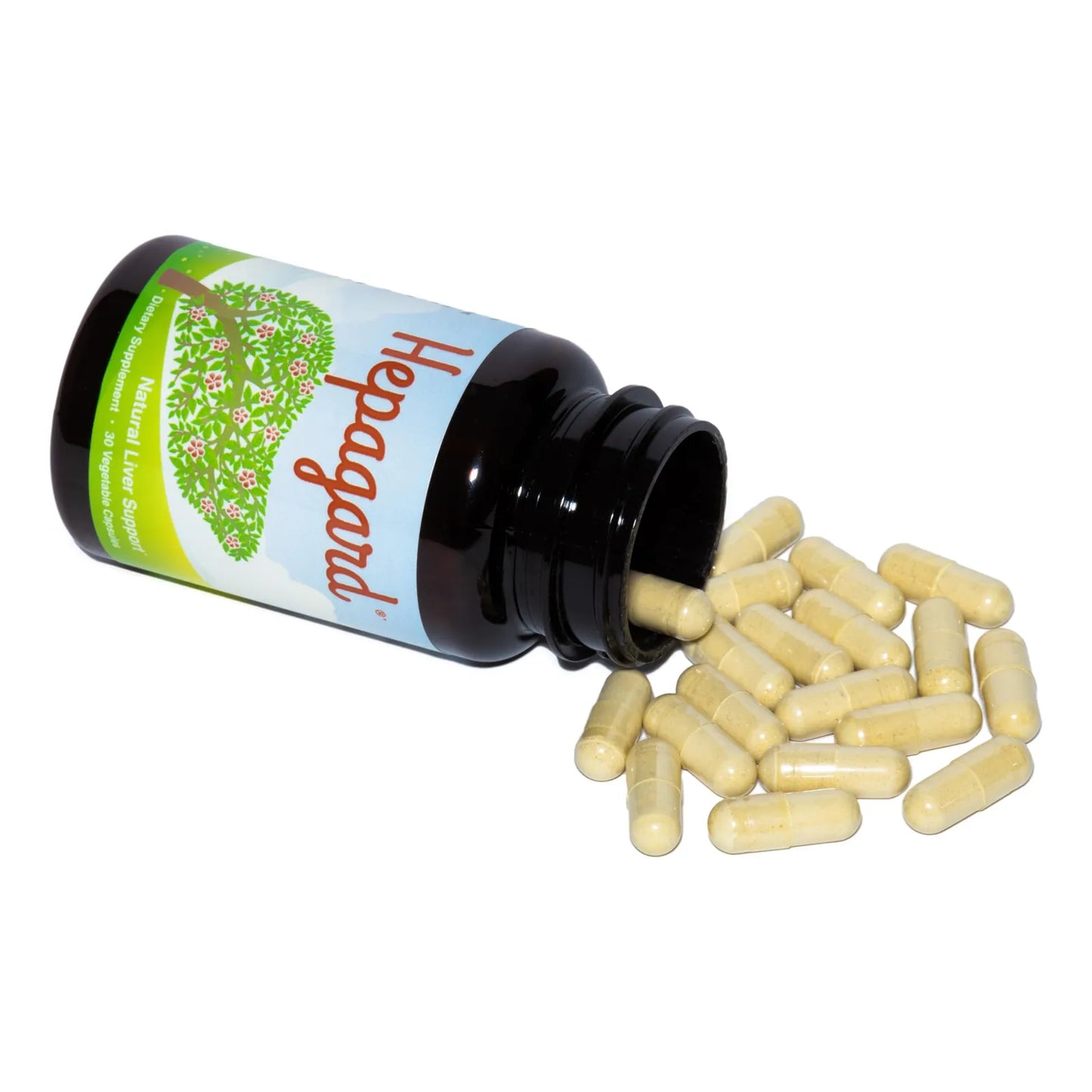 Suplemento Natural Hígado N Acetil Cisteína 600mg 120 Cápsulas Desintoxicación Hepática