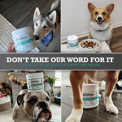 Polvo Probiótico Para Perros Con Plasma Seco - Salud Intestinal Y Defensas