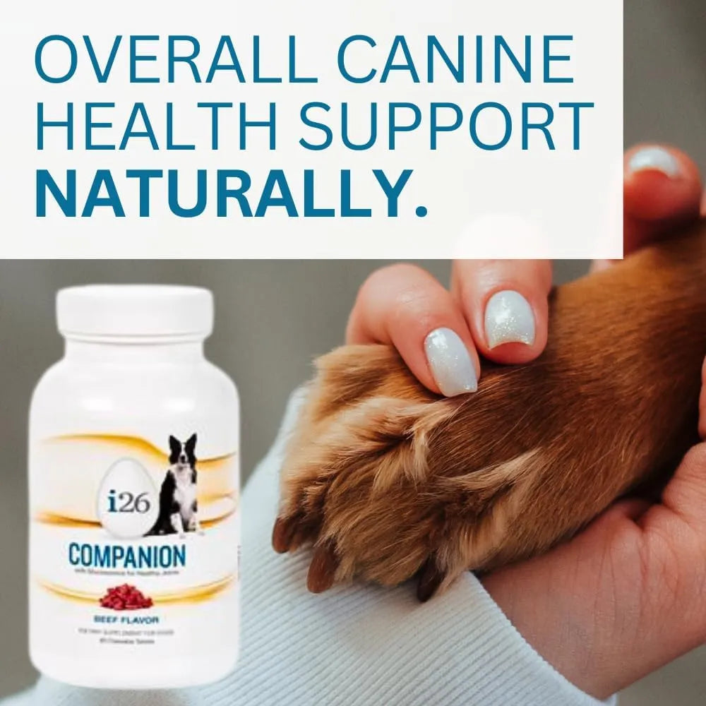 Nutricion Masticable Para Perros I26 Cachorros Y Adultos 60 Tabletas Sabor Carne