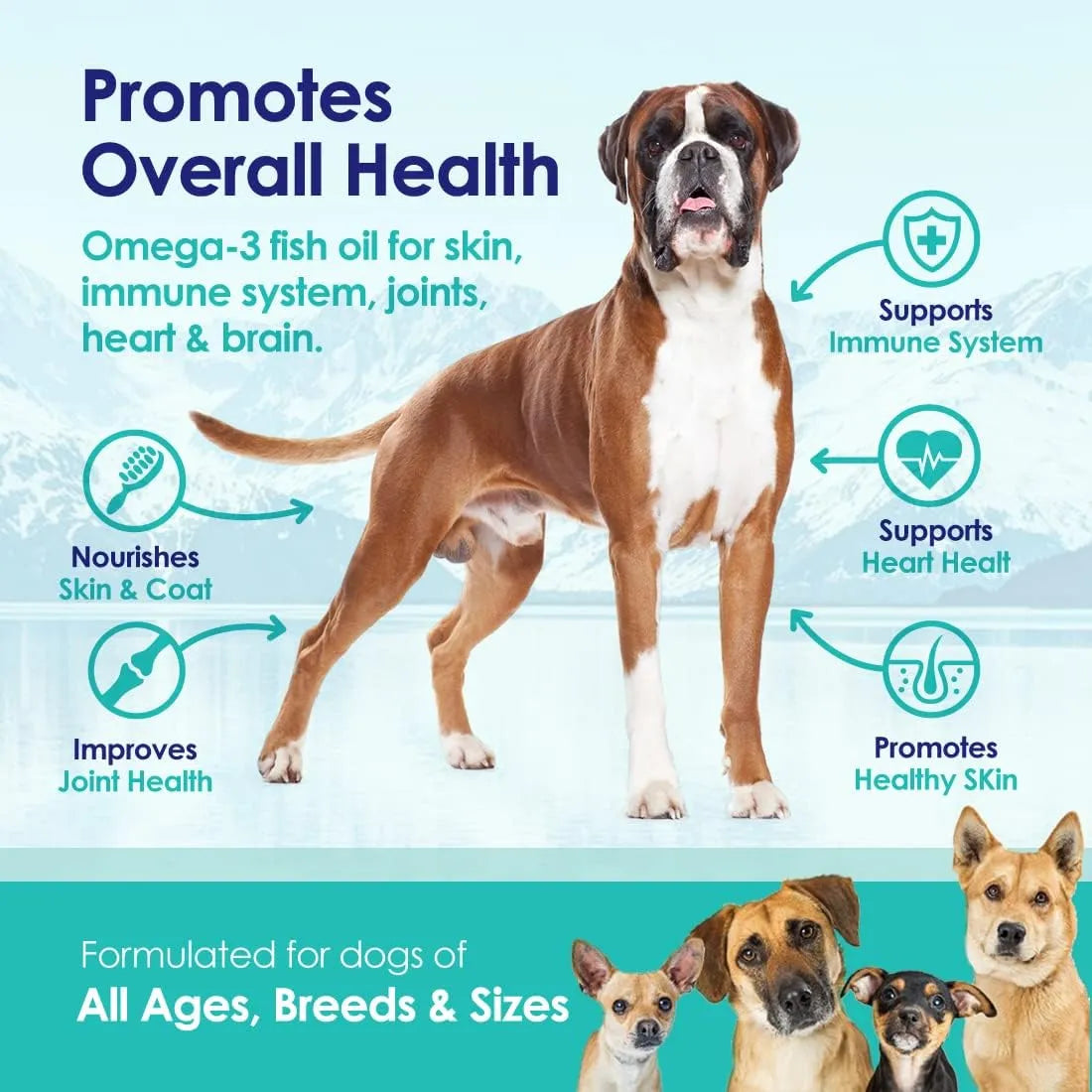 Aceite De Pescado Liquido Para Perros Omega 3 6 9 Piel Y Pelaje Saludable Importado
