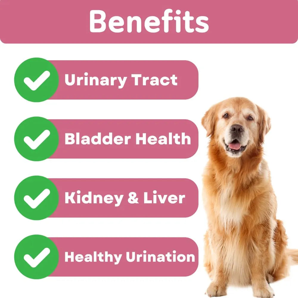 Golosinas Naturales Para Perros Control Vejiga Apoyo Renal Sabor Pollo