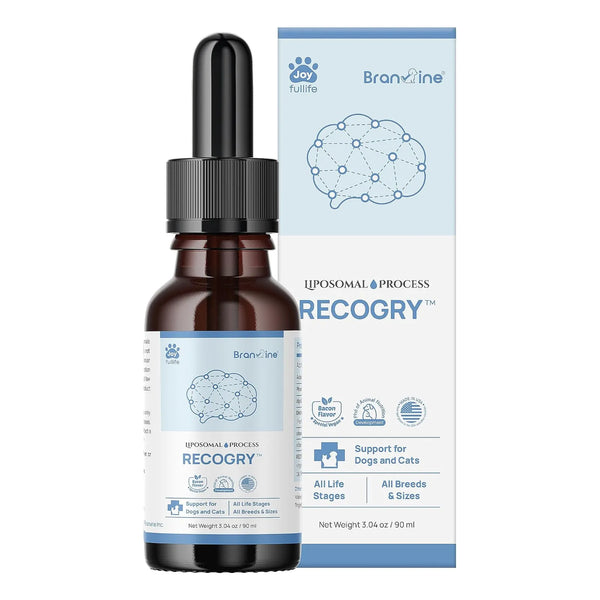 Apoyo Cognitivo Liquido Para Perros Y Gatos Con Astaxantina Mejora Memoria Y Vitalidad