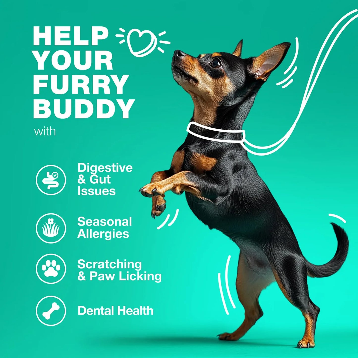Masticables Probióticos Para Perros Salud Intestinal Digesti Importaciones Gold