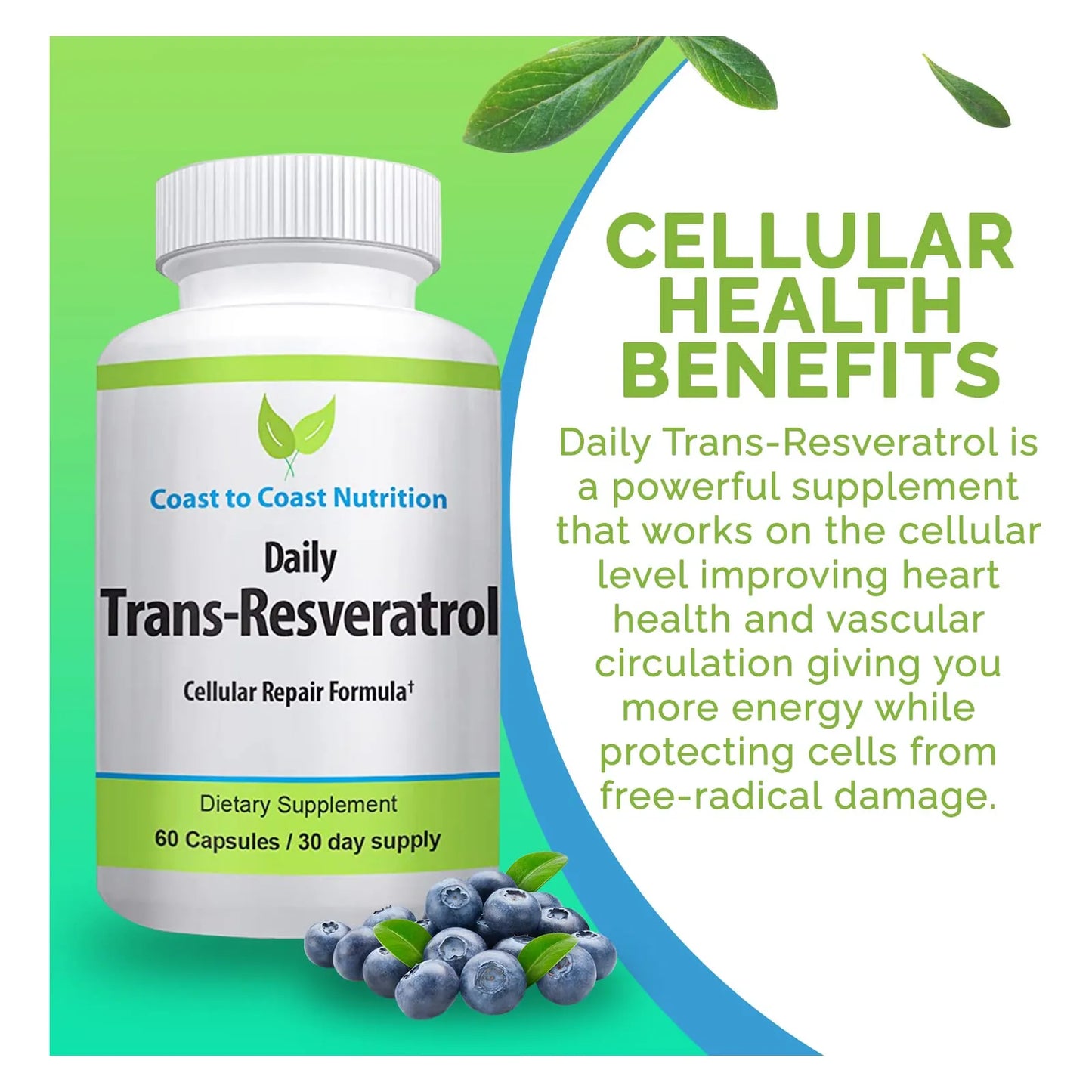 Capsulas De Trans Resveratrol Antioxidante Natural 600 Mg 60 Unidades Vegano