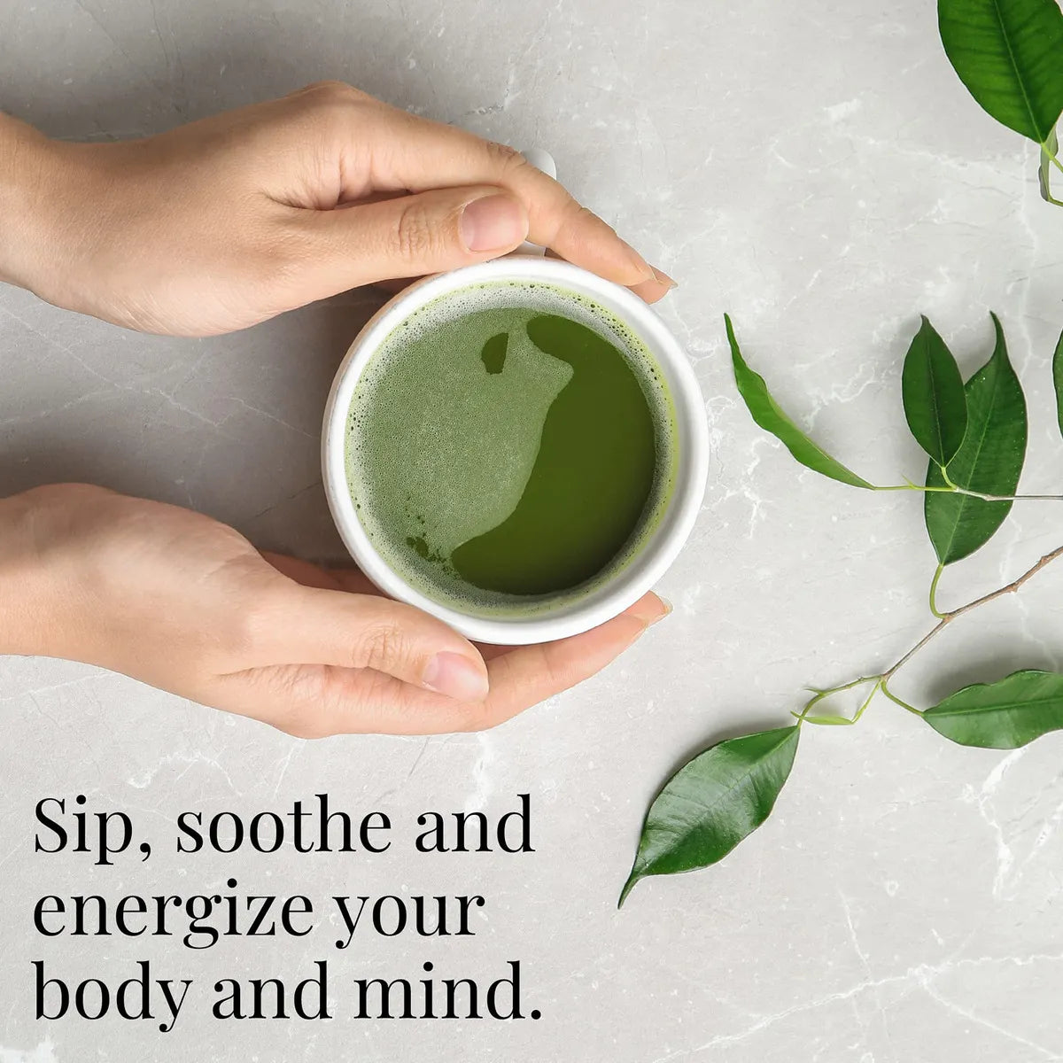 Té Matcha Orgánico En Polvo 100g Batidos Repostería Energía Natural