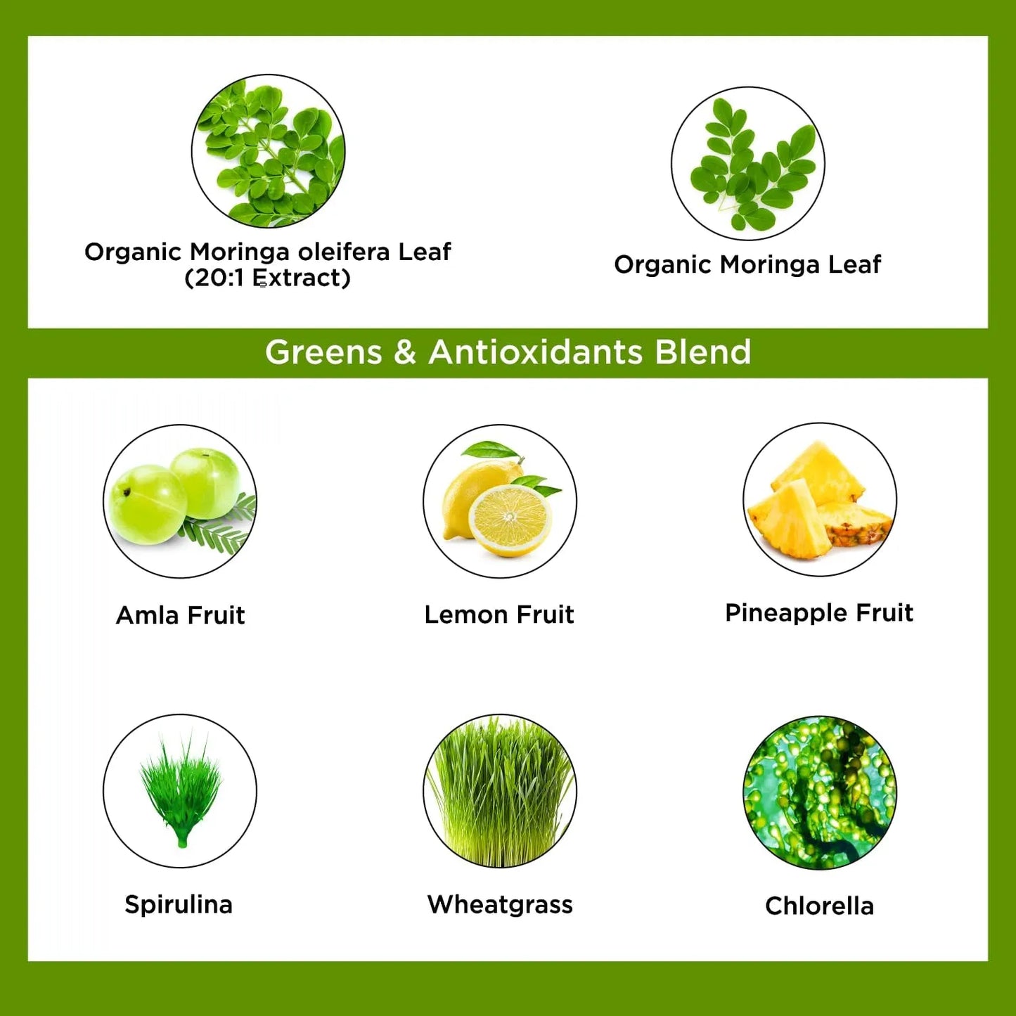Té De Moringa Orgánico En Bolsitas Con Superalimentos Espirulina Y Vitamina C