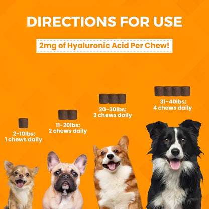 Nootie Progility Mini Masticables Para Perros Pequeños Y Medianos 60 Unidades