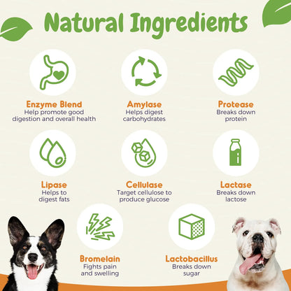 Probióticos Para Perros Con Enzimas Digestivas Salud Intestinal Y Soporte Inmunológico