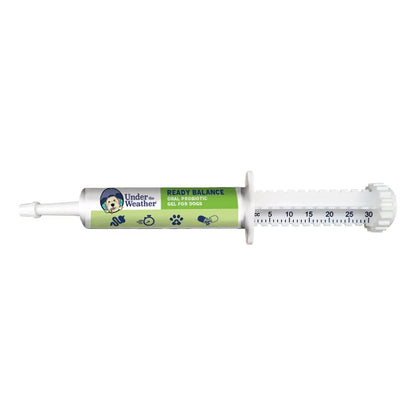 Gel Probiótico Y Prebiótico Oral Para Perros Equilibrio Digestivo Sabor Coco
