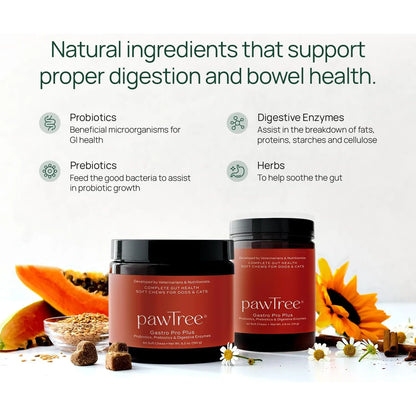 Pawtree Gastro Pro Plus Probióticos Para Perros Y Gatos Digestión Sensible Y Heces Firmes