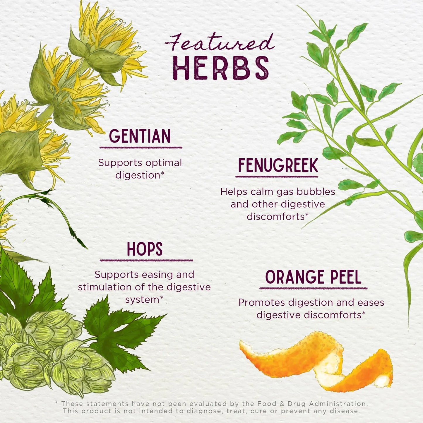 Amargos Digestivos Naturales Badass Bitters Raiz De Genciana Cascara De Naranja Mejora Tu Digestion