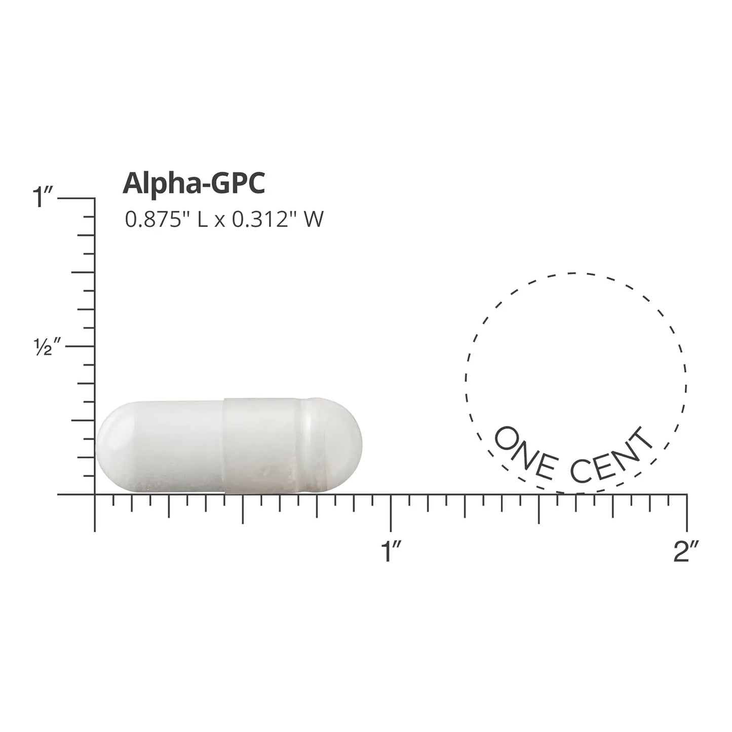 Alpha GPC 600 Mg 60 Capsulas Veganas Suplemento Premium Para Mente Y Cuerpo