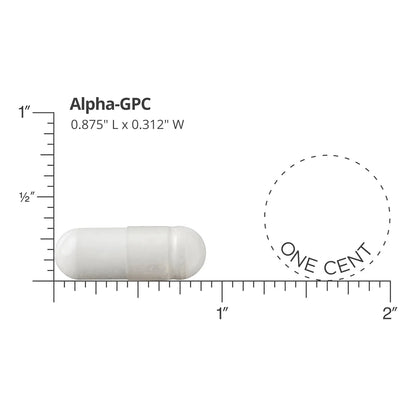Alpha GPC 600 Mg 60 Capsulas Veganas Suplemento Premium Para Mente Y Cuerpo