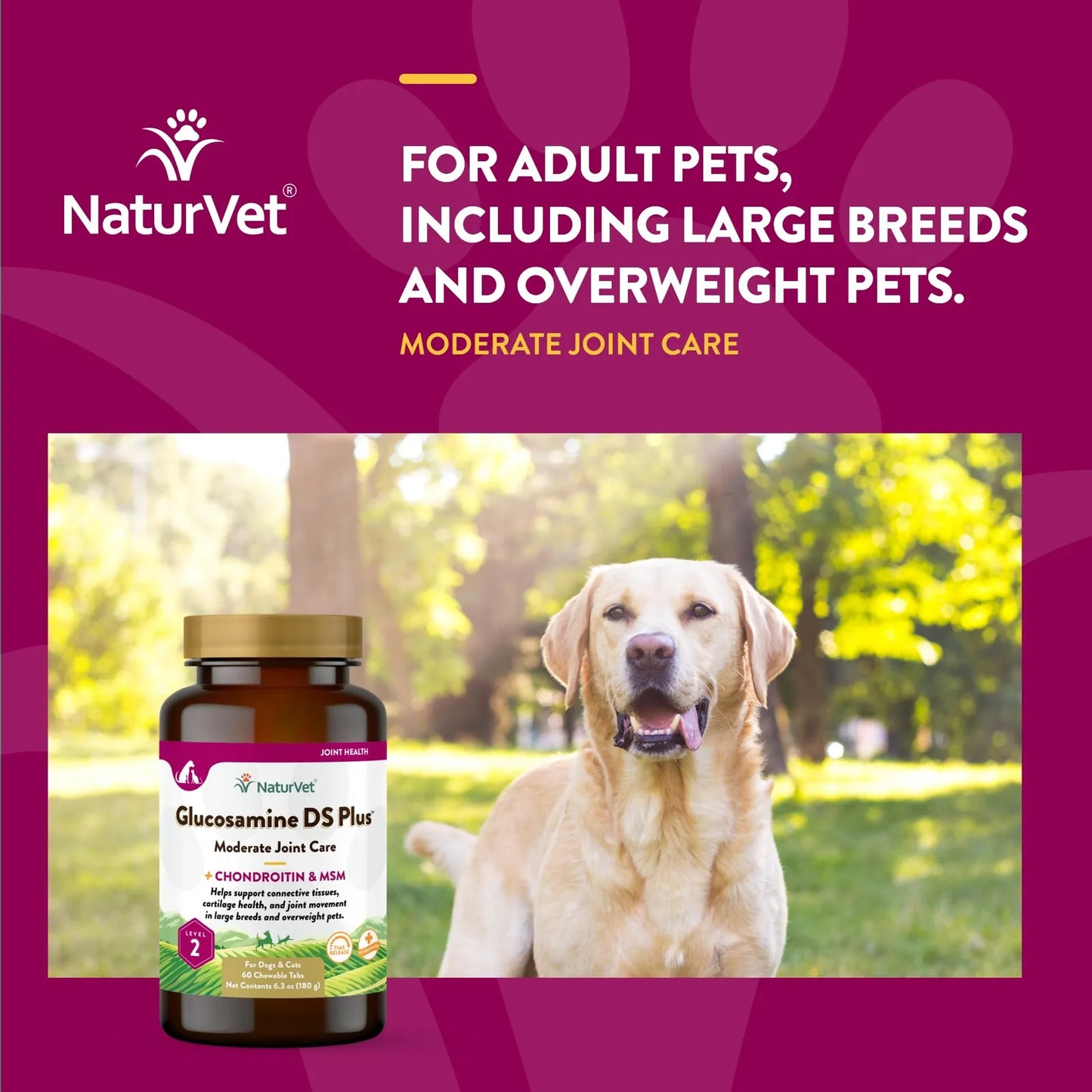 Glucosamine DS Plus Suplemento Articular Para Perros Y Gatos 60 Tabletas Masticables