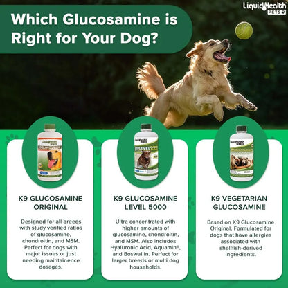 Glucosamina Líquida 946 Ml Con Condroitina Msm Omega 3 Ácido
