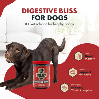 Suplemento De Fibra Natural Para Perros Con Psyllium Y Prebióticos Alivia Estreñimiento Y Diarrea