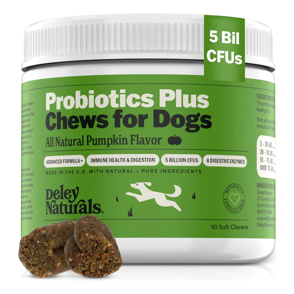 Chicles Probióticos Para Perros Salud Intestinal 5 Mil Millones De UFC Con Sabor A Calabaza