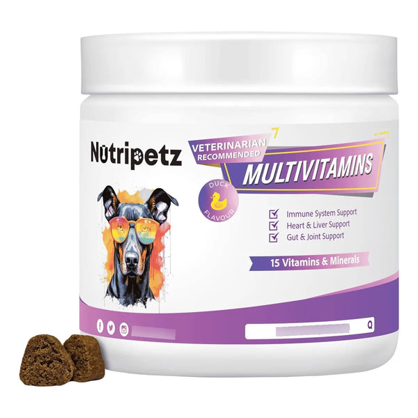 Multivitaminas Masticables Para Perros 120 Unidades Salud Cerebro Piel Y Digestión