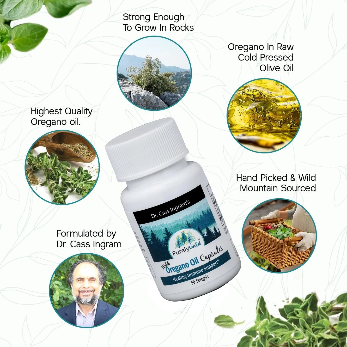 Cápsulas De Aceite De Orégano Mediterráneo Silvestre 90 Unidades Apoyo Inmunológico