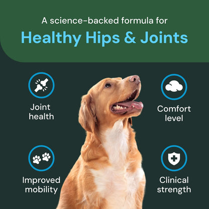 VetriFlex Suplemento Articular Masticable Para Perros Grandes Apoya Movilidad Y Flexibilidad