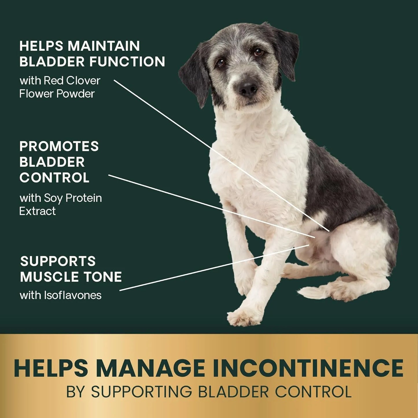 Masticables Para Perros VetriScience Apoyo Vejiga Antioxidant Control Incontinencia