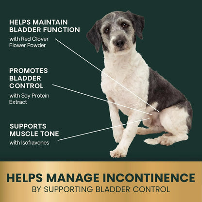 Masticables Para Perros VetriScience Apoyo Vejiga Antioxidant Control Incontinencia