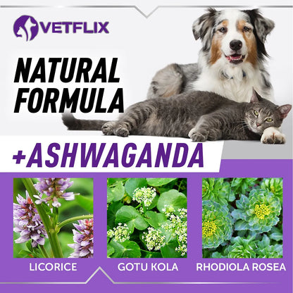 Soporte Suprarrenal Para Perros Y Gatos Tratamiento Natural Cushings Vetflix Gotas 60 Ml