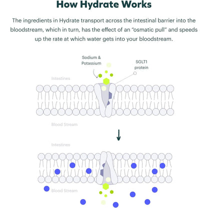 Combo Clásico Hidratante Restaurador Rehidratación Energetica DHM Solución Oral