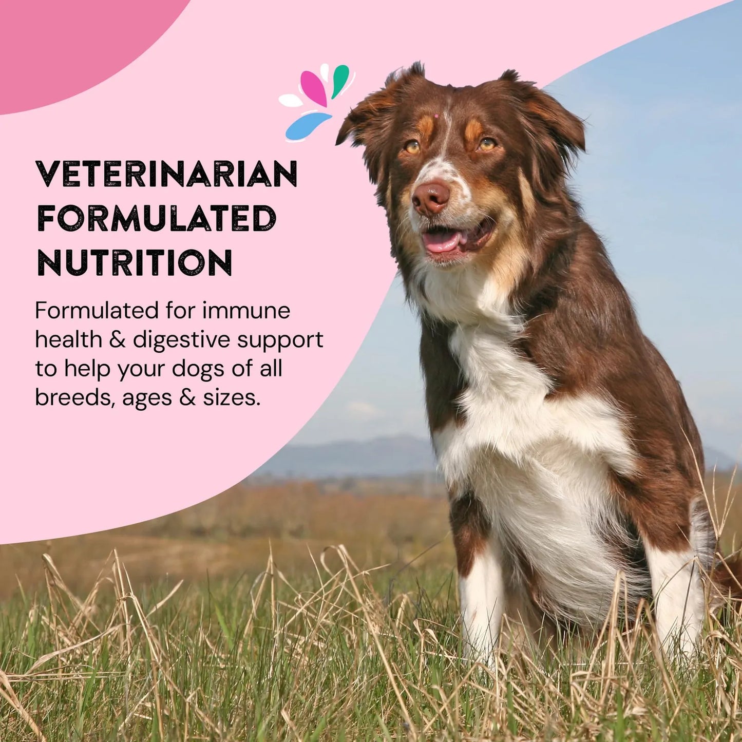 Suplemento De Probióticos Para Perros Salud Intestinal Y Digestiva Importado EE UU