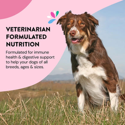 Suplemento De Probióticos Para Perros Salud Intestinal Y Digestiva Importado EE UU